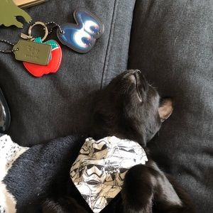 Looking, but the price is just out of reach?